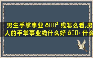 男生手掌事业 🌲 线怎么看,男人的手掌事业线什么好 🕷 什么坏